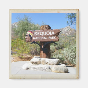 Imán ¡Imán del parque nacional de secoya!