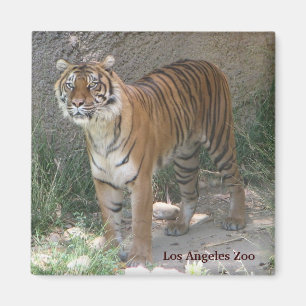 Imán ¡Imán del parque zoológico de Los Ángeles!