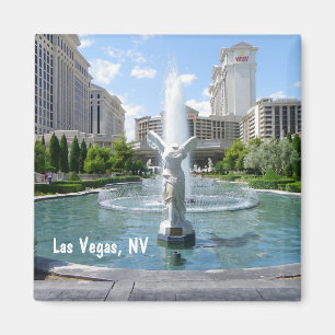 Imán ¡Imán enrrollado de Las Vegas!