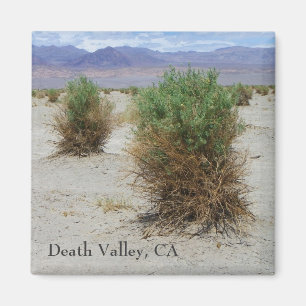Imán ¡Imán fresco de Death Valley!