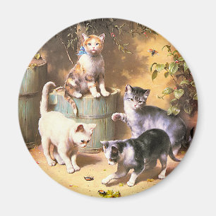 Imán Imán: "Gatitos que juegan con los escarabajos "