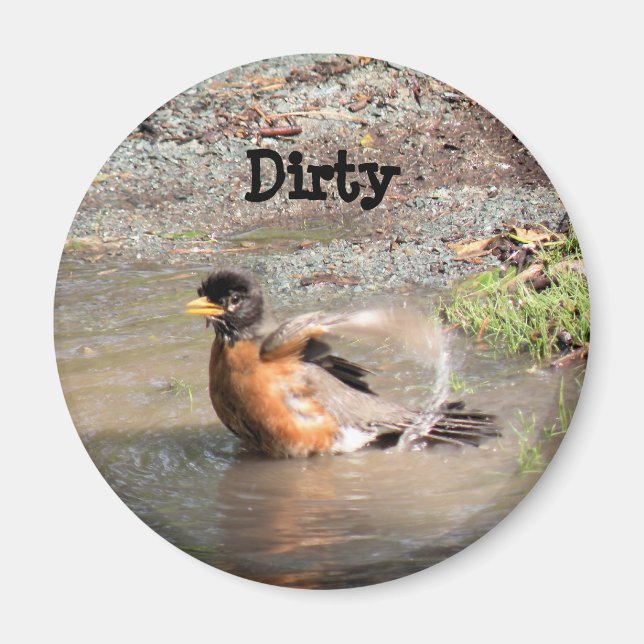 Imán Imán, lavavajillas, Robin tomando un baño, sucio (Frente)