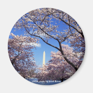 Imán Imán/monumento de Washington