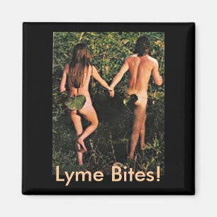 Imán ¡Imán - mordeduras de Lyme!