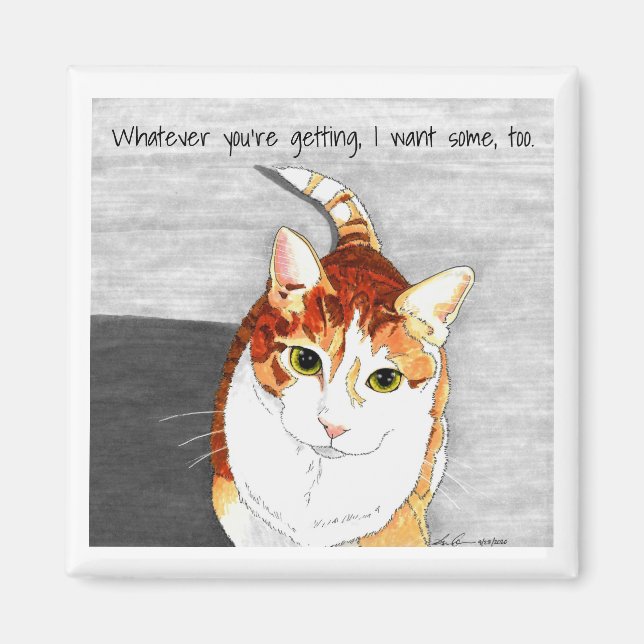 Imán imán: Tratamientos para Hobbes (Frente)