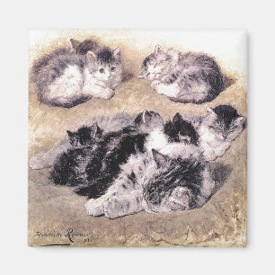 Imán Imán: Un estudio de gatos