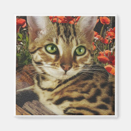 Imán imanes de Bengala