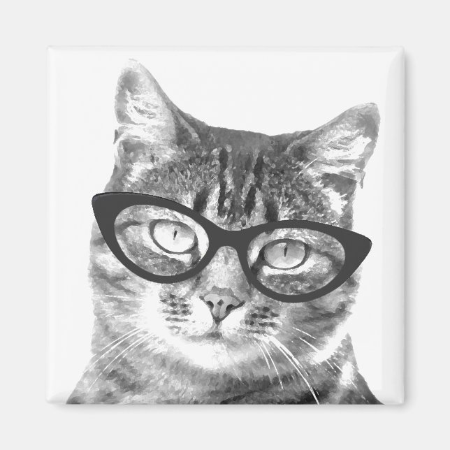 Imán Imanes de fotos de gatos divertidos (Frente)