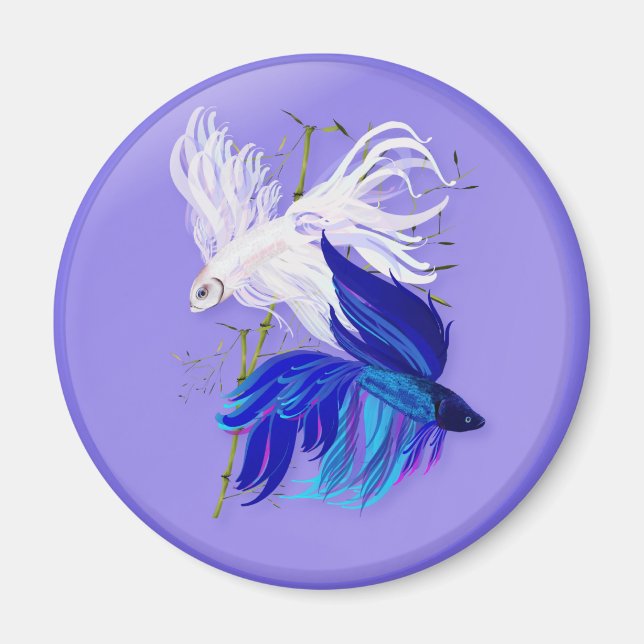 Imán Imanes de peces azules siameses blancos de combate (Frente)