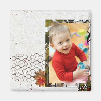 Imán Imanes fotográficos