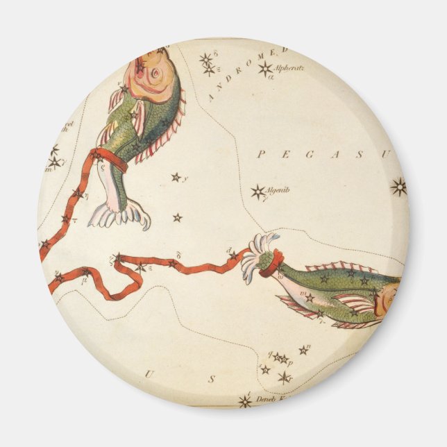 Imán imanes "Rótulo zodiaco": Pisces (Frente)