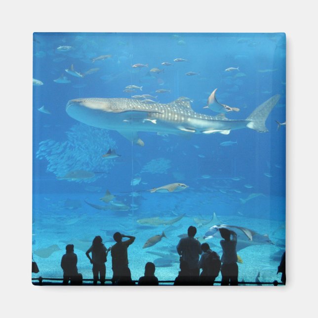 IMÁN IMG_0598 (Frente)