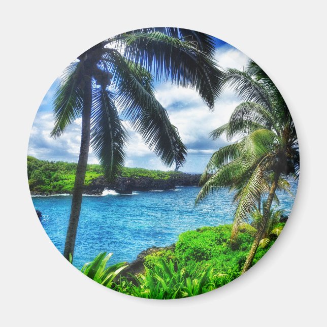 Imán IMG_1122 4 Playa de arena negra de Hawái (Frente)