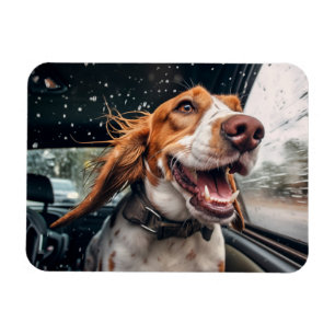 Imán Impresión artística de perro emocionado en un pase