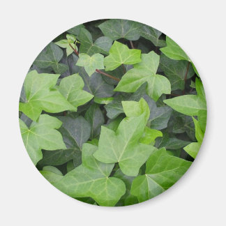 Imán Impresión botánica de marfil verde