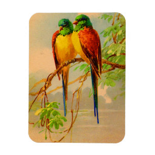 Imán impresión de aves hermosas