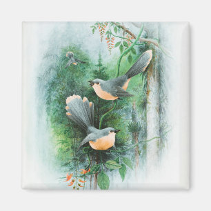 Imán Impresión de lienzo