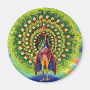 Imán impresión de pavo real divertida