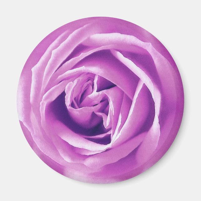 Imán Impresión de rosa de lavanda (Frente)