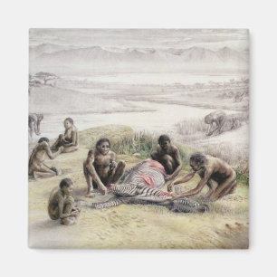 Imán Impresión de un campo ocupado por habilis de homo