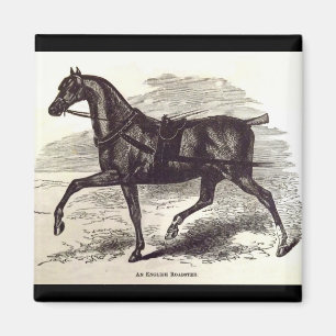 Imán Impresión del siglo XIX Un caballo de ruedas inglé