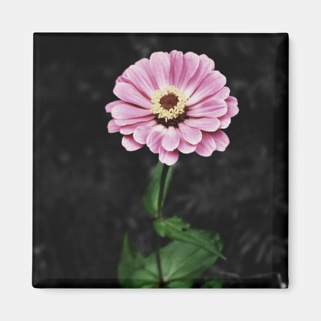 Imán Impresión duradera (Frente)