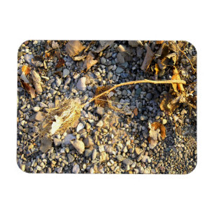 Imán Impresión otoñal