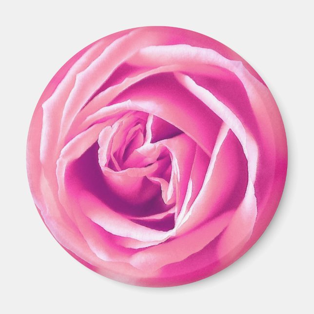 Imán Impresión rosa rosa rosa (Frente)