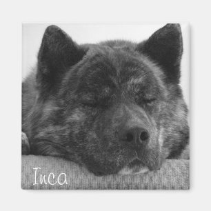 Imán Inca