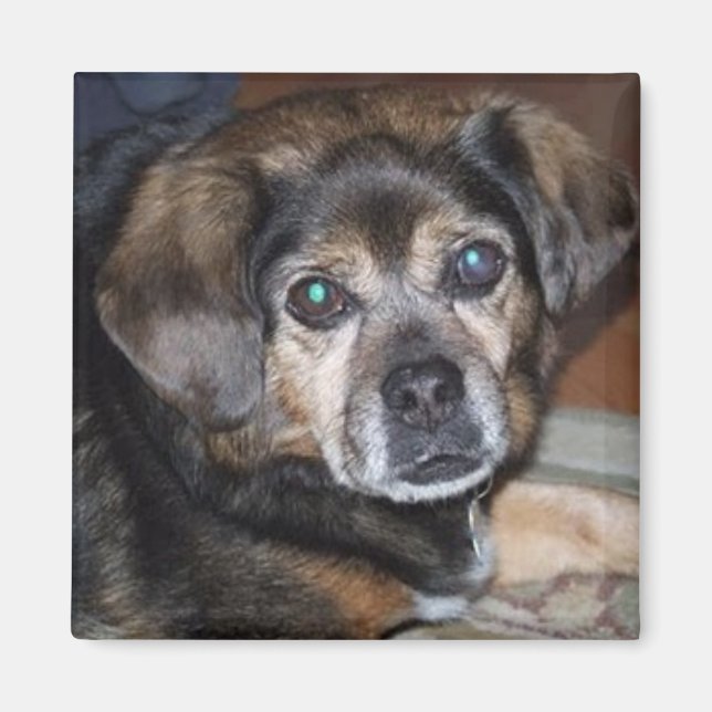 Imán Incendio de fuerza (Frente)