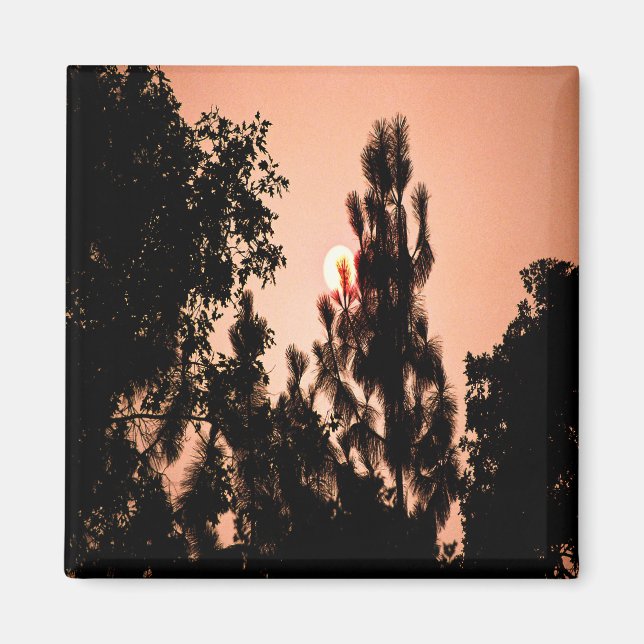 Imán Incendio en el Valle de la India........ (Frente)