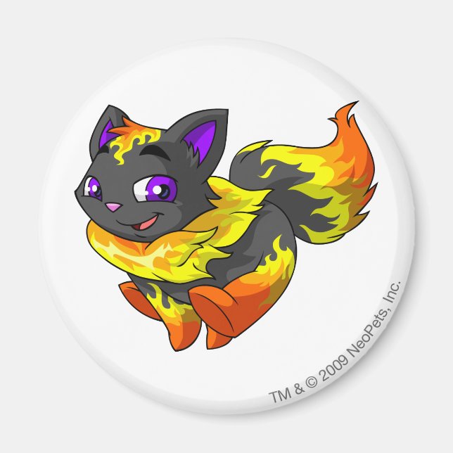 Imán Incendio Wocke (Frente)