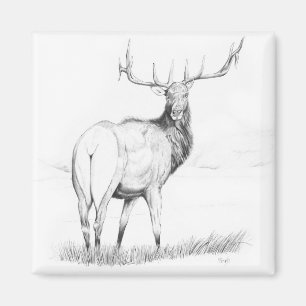 Imán Indecisión - Elk Magnet