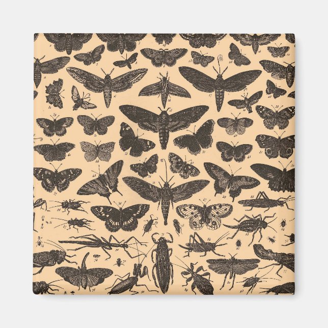 Imán indefinido (Frente)