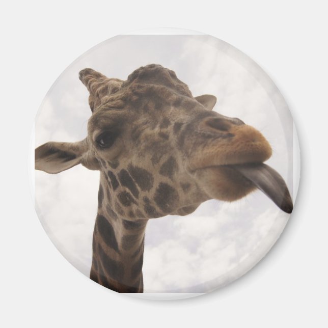 Imán indefinido (Frente)