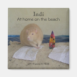 Imán Indi, en casa en la playa, con gracias a…