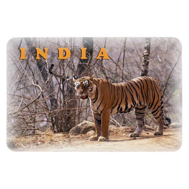 Imán India (Horizontal)