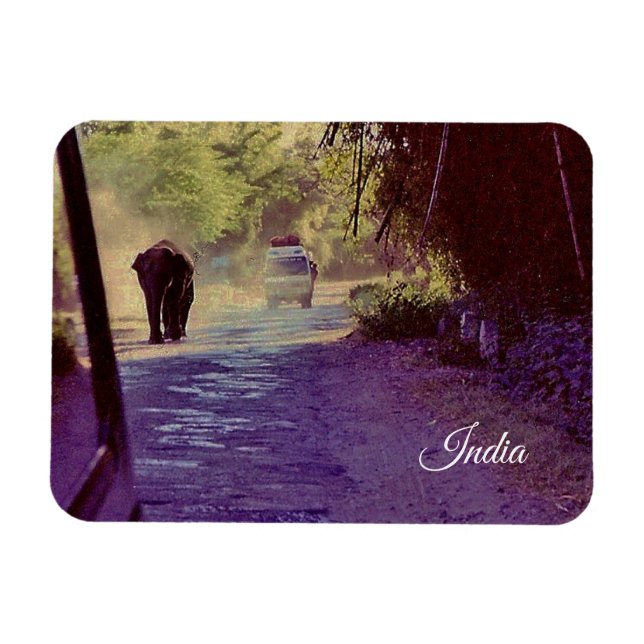 Imán India (Horizontal)