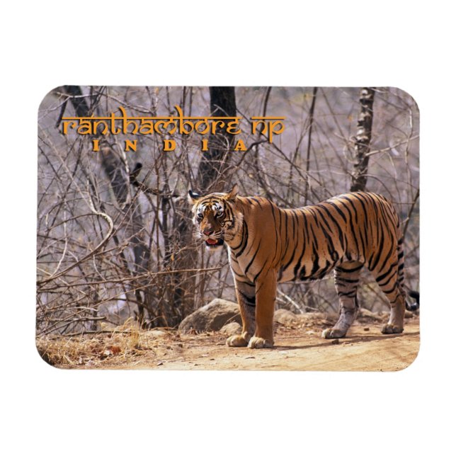 Imán India (Horizontal)