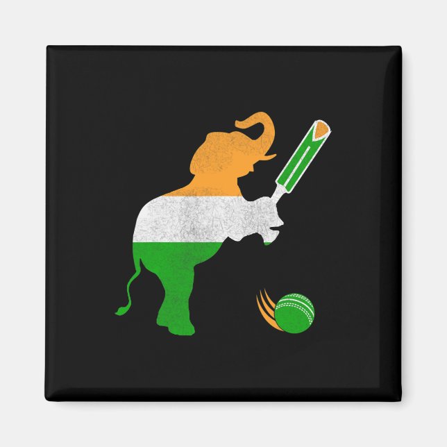 Imán India Cricket 1  (Frente)