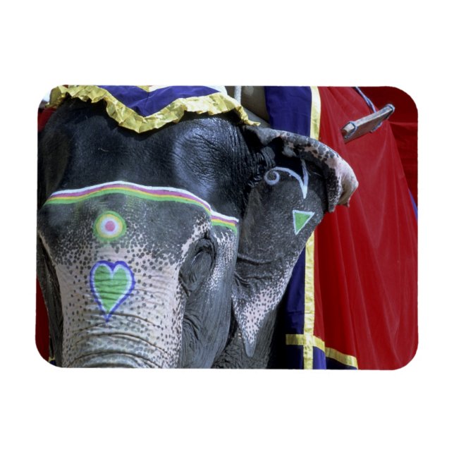 Imán India, Rajastán, Jaipur. Amber Fort. (Horizontal)