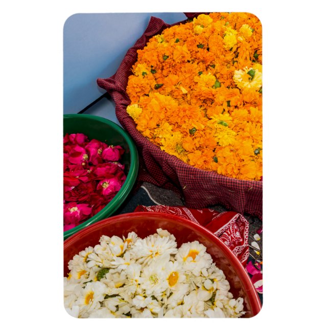 Imán India, Rajastán, Pipar (Vertical)