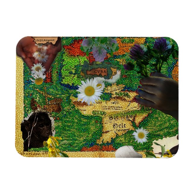 Imán India y Cuba (Horizontal)