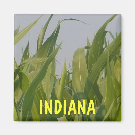 Imán Indiana Magnet