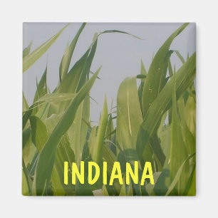 Imán Indiana Magnet