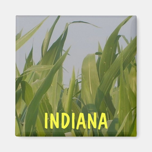 Imán Indiana Magnet (Frente)