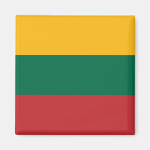 Imán Indicador Lituania (lituano)