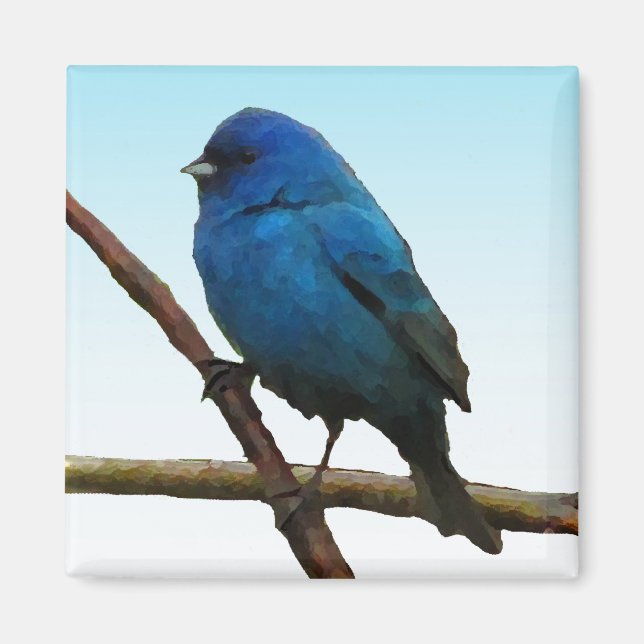 Imán Indigo Bunting (Frente)