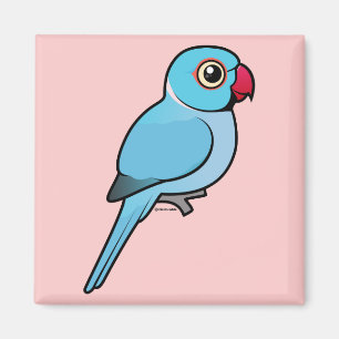 Imán Indio azul Ringneck