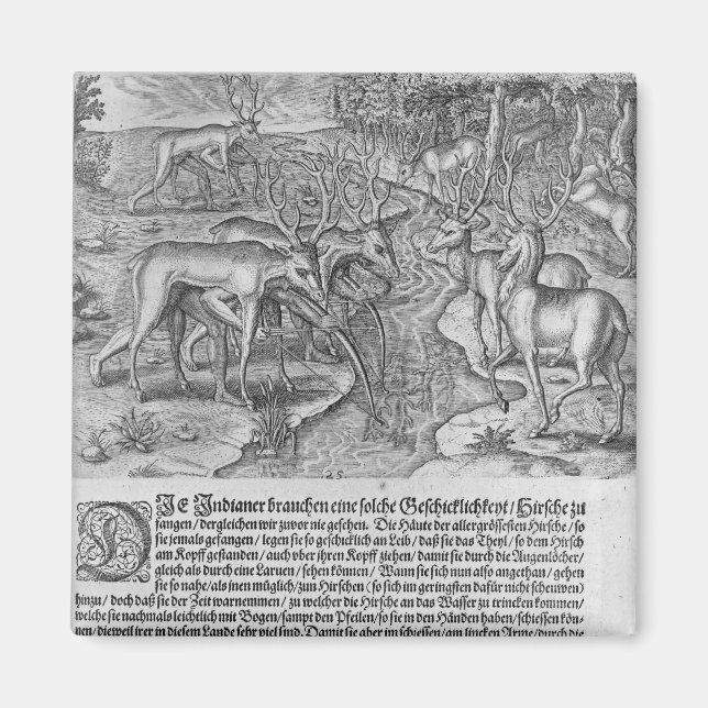 Imán Indios de Florida cazando ciervos (Frente)